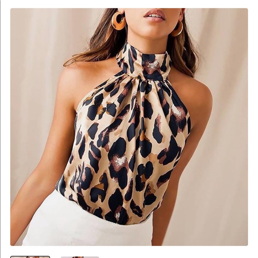 Cheetah tank